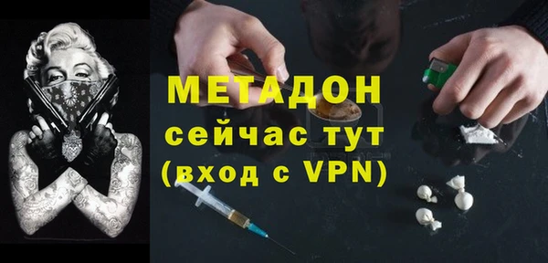 ПСИЛОЦИБИНОВЫЕ ГРИБЫ Арсеньев