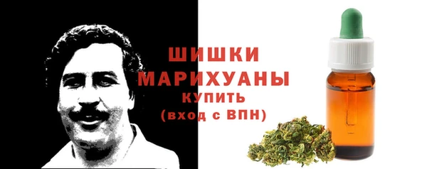 ПСИЛОЦИБИНОВЫЕ ГРИБЫ Арсеньев